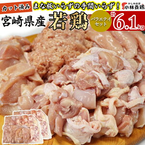 yӂ邳Ɣ[ŁzyJbgς݁z{茧Y{oGeBZbg v3.2kgE6.1kg Y { {   ނ˓ l   ~`  Jbg Ⓚ