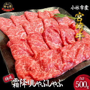 yӂ邳Ɣ[ŁzyD036EјaXgz{苍XwI~肵Ԃ 500gi500g×1P Y  ~ [X  Ԃ XCX a Ԑg Hהׁj
