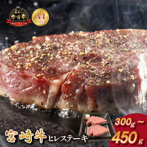 yӂ邳Ɣ[Łz{茧mqEA4ȏ{苍qXe[L 300gE450gi {苍  q Xe[L Ԑg 2 Ⓚ ēj