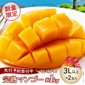【ふるさと納税】【2026年発送】完熟 マンゴー 3L×2玉 約1kg 数量限定 先行予約 厳選 大玉 フルーツ 果物 化粧箱入り 宮崎