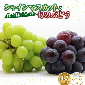 【ふるさと納税】シャインマスカットと旬のぶどう 食べ比べセット 計1.7kg（シャインマスカット ぶどう 葡萄 フルーツ 果物 食べ比べ 高糖度 甘い ジューシー みずみずしい 芳醇 宮崎 小林市）