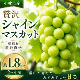 【ふるさと納税】贅沢シャインマスカット1.8kg程度（果実 フルーツ ぶどう マスカット 2026 先行受付 人気 限定 宮崎 小林市）