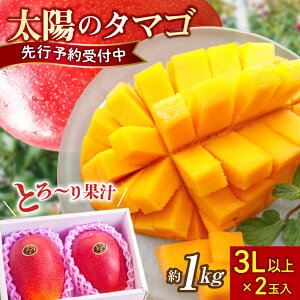 yӂ邳Ɣ[Łzy2026Nz}S[ z̃^}S 3L×2 1kg x15xȏ n ʌ s\ I  t[c {