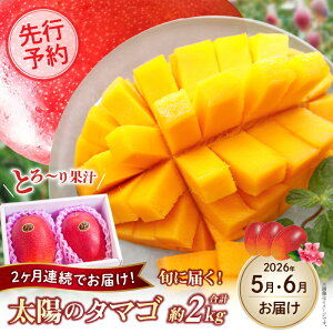 yӂ邳Ɣ[Łzys\I}S[ցES2zюsY n}S[ uz̃^}SvR[Xi t[c t[c 2026 }S[ s\ z̃^}S { юs 