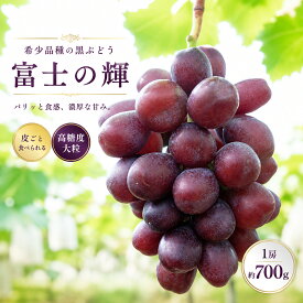 【ふるさと納税】【希少品種】富士の輝 1房（約700g）（ブラックシャインマスカット シャインマスカット ぶどう 旬 人気 期間限定 限定 果物 くだもの フルーツ プレゼント）