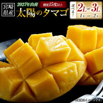 宮崎 アップルマンゴー 太陽のタマゴの通販