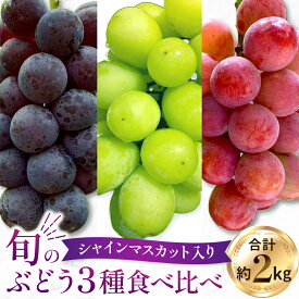 【ふるさと納税】【2026年発送 先行予約】旬のぶどう3種食べ比べ アソート 計2kg程度 オーロラブラック クイーンニーナ ぶどう ブドウ シャインマスカット フルーツ 果物 くだもの ぶどう食べ比べ ふるさと 人気 おすすめ 贈答 ギフト お裾分け プレゼント 宮崎県 小林市