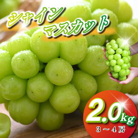 【ふるさと納税】【2026年発送】シャインマスカット 2kg程度 3～4房 ぶどう ブドウ マスカット フルーツ 果物 数量限定 ふるさと 人気 おすすめ 贈答 ギフト お裾分け プレゼント 宮崎県 小林市 送料無料