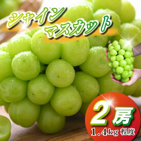 【ふるさと納税】【2026年発送】シャインマスカット 2房 1.4kg程度 ぶどう ブドウ マスカット フルーツ 果物 限定 ふるさと 人気 おすすめ 贈答 ギフト お裾分け プレゼント 宮崎県 小林市 送料無料