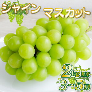 yӂ邳Ɣ[ŁzyYāzVC}XJbg 2kgxiʎ  t[c uhE }XJbg p j