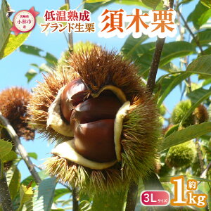 yӂ邳Ɣ[ŁzyቷnzuhIu{،Iv3LTCY 1kgxiI } I n ʕ t[c  H {j