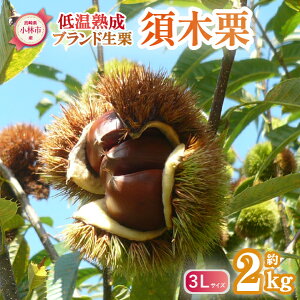 yӂ邳Ɣ[ŁzyቷnzuhIu{،Iv3LTCY 2kgxiI } I ʕ t[c  H {j