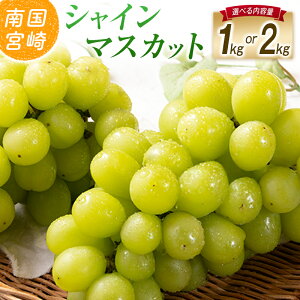 �y�ӂ邳�Ɣ[�Łz�y�ߘa8�N���� ��s�\��z�y�I�ׂ���e�ʁz���юs�Y �V���C���}�X�J�b�g 1�`2kg�i�u�h�E �Ԃǂ� �V���C���}�X�J�b�g �}�X�J�b�g �t���[�c �ʕ� ��s��t ����j