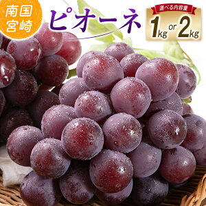 �y�ӂ邳�Ɣ[�Łz�y�ߘa8�N���� ��s�\��z�y�I�ׂ���e�ʁz���юs�Y �s�I�[�l 1�`2kg�i�Ԃǂ� �u�h�E �s�I�[�l �t���[�c �ʕ� �������� ��s��t ����j