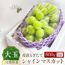 【ふるさと納税】シャインマスカット 800g ブドウ シャインマスカット シャイン マスカット 果物 産地直送 くだもの 甘い 数量限定 先行受付 厳選 大玉 フルーツ 大粒 果物 ぶどう 2026年発送 もぎたて 完熟 宮崎県 小林市 送料無料
