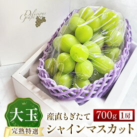【ふるさと納税】大玉シャインマスカット 700g ブドウ シャインマスカット シャイン マスカット 果物 産地直送 くだもの 甘い 数量限定　厳選 大玉 フルーツ 大粒 果物 ぶどう 2026年発送 もぎたて 完熟 宮崎県 小林市 送料無料