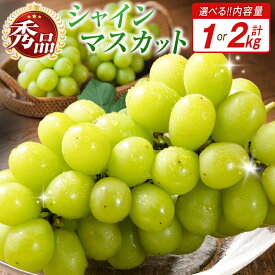【ふるさと納税】【選べる内容量】小林市産 シャインマスカット 1～2kg（ブドウ ぶどう シャインマスカット マスカット フルーツ 果物 限定）