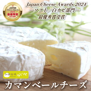 yӂ邳Ɣ[ŁzyReXgŗDG܎܁IzJ}x[`[Y 1 100g i`[Y Y i  Y`[Y mz  lCj