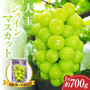 yӂ邳Ɣ[Łzys\zVC}XJbg 700g ʌ st I  t[c ʕ Ԃǂ 2026N