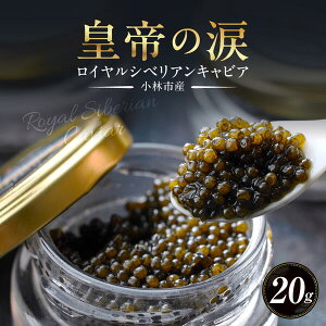 yӂ邳Ɣ[ŁzCVxALrA 20g c̗ Y `EU  {茧