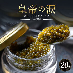 yӂ邳Ɣ[ŁzIVFgLrA 20g c̗ Y `EU  {茧
