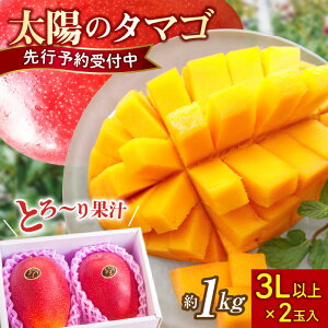 yӂ邳Ɣ[Łzy2026Nz}S[ z̃^}S 3L×2 1kg x15xȏ n ʌ s\ I  t[c { sr[Ly[{t