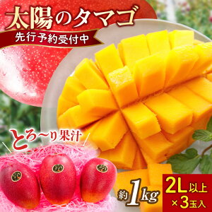 yӂ邳Ɣ[Łzy2026Nz}S[ z̃^}S 2L×3 1kg x15xȏ n ʌ s\ I  t[c {sr[Ly[{t
