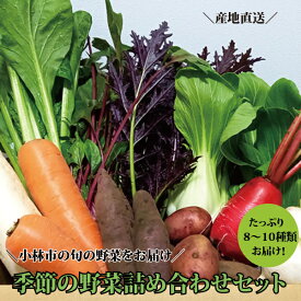 【ふるさと納税】【自然が育む新鮮野菜】こばやし季節の野菜詰め合わせセット
