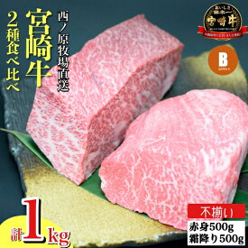 【ふるさと納税】【生産者まかない用提供品】宮崎和牛部位お任せ不揃いブロック　1kg（国産 牛肉 国産牛 和牛 黒毛和牛 ブロック肉 ステーキ ローストビーフ 焼肉）
