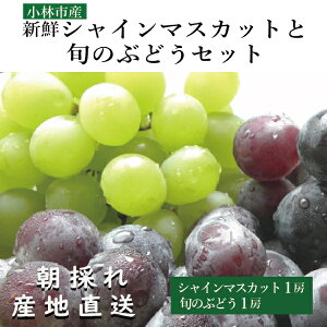 yӂ邳Ɣ[ŁzyYāzVNVC}XJbgƏ{̂ԂǂZbgiʎ  t[c uhE }XJbglC  юsj