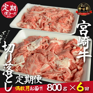 yӂ邳Ɣ[ŁzyցES6zqq꒼A4ȏ{苍؂藎Ƃ@800g×6R[Xiji  Y  a Ԑg ~ {苍 { юs ؂ 