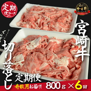yӂ邳Ɣ[ŁzyցES6zqq꒼A4ȏ{苍؂藎Ƃ@800g×6R[Xiji  Y  a Ԑg ~ {苍 { юs ؂ 