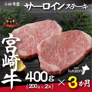 yӂ邳Ɣ[ŁzyցES3zюsY{苍IT[CXe[LR[Xi200g×2×3j