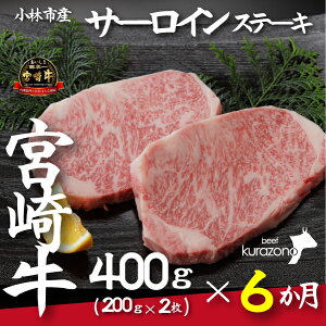 yӂ邳Ɣ[ŁzyցES6zюsY{苍IT[CXe[Li200g×2×6j