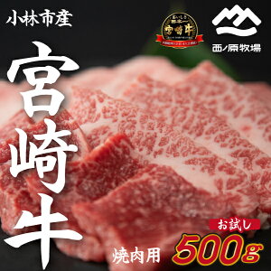 yӂ邳Ɣ[ŁzyYz Y  {苍 ߂ē@500g×1Pi  Ef Ă ē Ԑgj