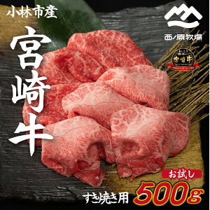 yӂ邳Ɣ[ŁzyYz Y  {苍 ߂Ăp@500g×1Pi  Ef Ă ē Ԑg XCXj