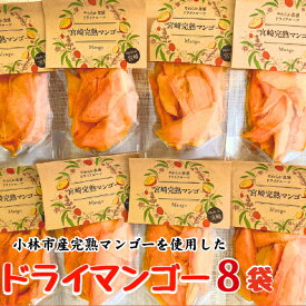 【ふるさと納税】【旬の果物100％】果物好きのためのドライフルーツ　宮崎完熟マンゴーセット