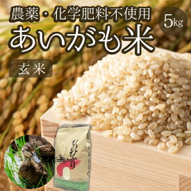 【ふるさと納税】【安心安全！合鴨農法】あいがも米（玄米ヒノヒカリ）　5kg
