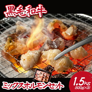 yӂ邳Ɣ[ŁzyД_azјa~bNXz 1.5kgiY јa  z ē BBQ Ⓚ j
