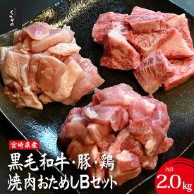 【ふるさと納税】宮崎県産 牛・豚・鶏 焼肉おためしBセット 計2kg 黒毛和牛 牛肉 国産 ウデ モモ モモ肉 牛 国産鶏 鶏肉 豚肉 切り落とし BBQ 焼肉 肉 お肉 セット おためし ふるさと 人気 おすすめ 贈答 ギフト お裾分け プレゼント 精肉 宮崎県 小林市 送料無料