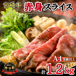 yӂ邳Ɣ[ŁzyјaXz{苍 Ԑg XCX 800gE1.2kg iĂpj{苍  Y  ԐgĂ lC