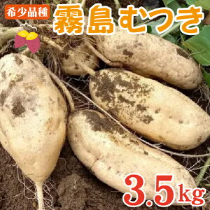 yӂ邳Ɣ[Łzy󏭕izюsY܂uނv3.5kgi܈  { 󂠂 ƒp Ă w َqj