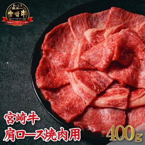 yӂ邳Ɣ[ŁzyA4ȏz{苍[Xēp 400gi јa {苍 [X Ԑg ~ ē BBQj