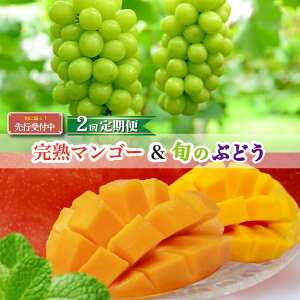 yӂ邳Ɣ[ŁzyS2Et[cցzюsY n}S[{̂Ԃǂ ցit[c }S[ uhE VC}XJbg ʕ  2026 {j