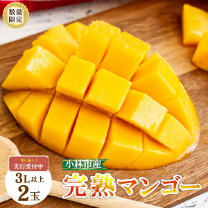 yӂ邳Ɣ[Łzy2026Nzn }S[ 3L×2 1kg ʌ s\ I  t[c ʕ ϔ {sr[Ly[{t