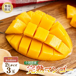 yӂ邳Ɣ[Łzy2026Nzn }S[ 2L×3 1kg ʌ s\ I  t[c ʕ ϔ { sr[Ly[{t