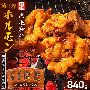yӂ邳Ɣ[ŁzyʌzЂԃz RR~bNX 840gi210g×4Pj ē BBQ lC z zĂ tz tz ēpz