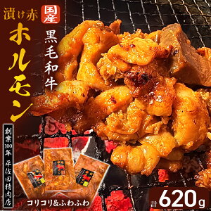 yӂ邳Ɣ[ŁzyʌzЂԃz620g RR~bNXi210g×2Pjӂӂ틍i200g×1Pj ē BBQ lC z zĂ tz tz ēpz