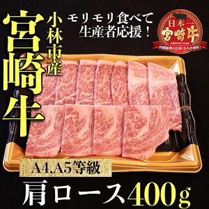 yӂ邳Ɣ[ŁzyzA4ȏ{苍߂[Xiēpj400g јa uh ē tb