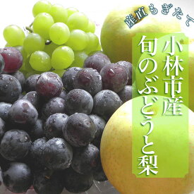 【ふるさと納税】【令和8年発送】シャインマスカット等と梨の詰め合わせセット 2kg（国産 フルーツ 果物 くだもの ブドウ ナシ 旬 2026 限定）